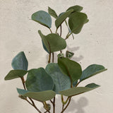 Artificial eucalyptus branch on a light background