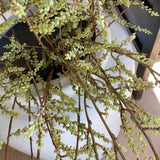 Stachyurus Branch 1.3m - Brown & Home