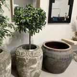 Three potted plants in decorative pots on a concrete floor with a mirror and wall art in the background.
