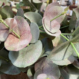 Tall Pink Eucalyptus Spray 1.1m