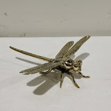 Bronze dragonfly