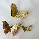 Bronze Butterfly