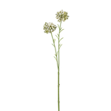 Mini Allium Stem
