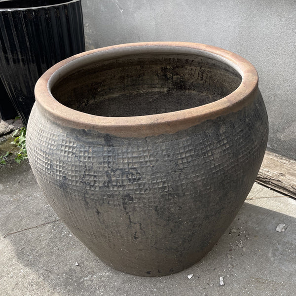 Terracotta Pot