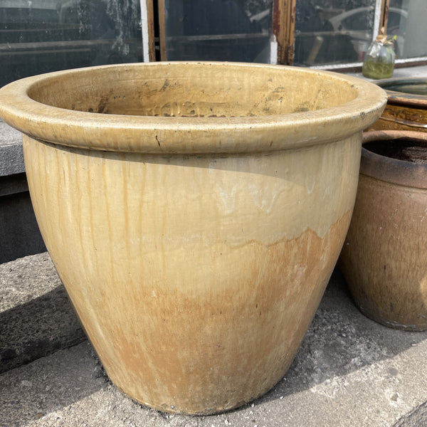 Terracotta Pot
