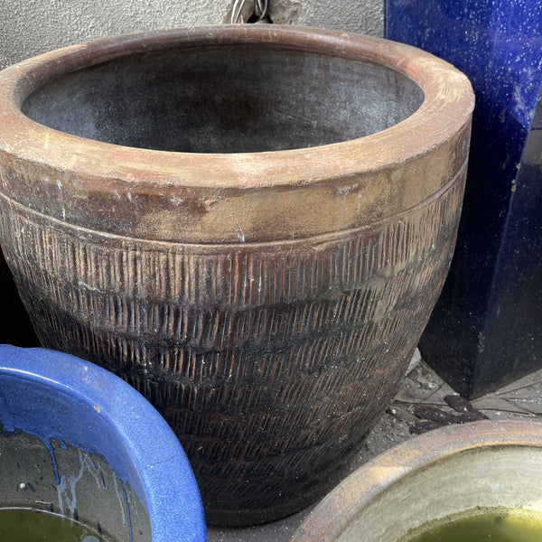 Terracotta Pot