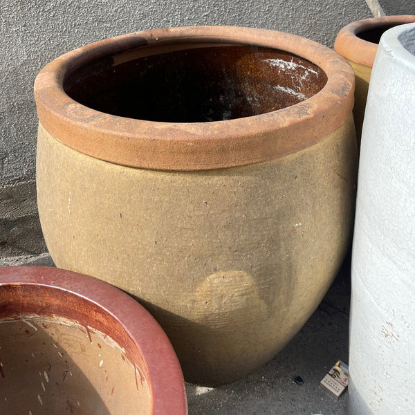 Terracotta Pot