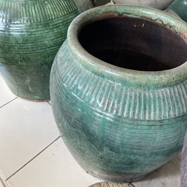 Pot