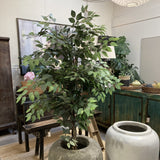 Indoor setting with a large potted plant, a white vase, and a painting on a wall.