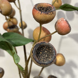 Artificial plant with dried fruits and leaves on a white background