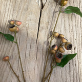 Dried plant stems with berries and leaves on a wooden surface