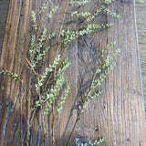 Dried plant branches on a wooden surface