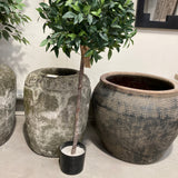 Decorative wall with rustic pots and a green plant