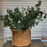 Potted plant in a woven basket on a table with blinds in the background