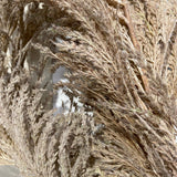 Close-up of textured brown rope on a white background