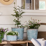 Sea Blue Rustic Planter & Saucer / TALL