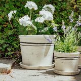 Two white ceramic planters with flowers on a concrete surface.