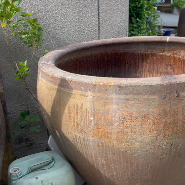 Terracotta Pot