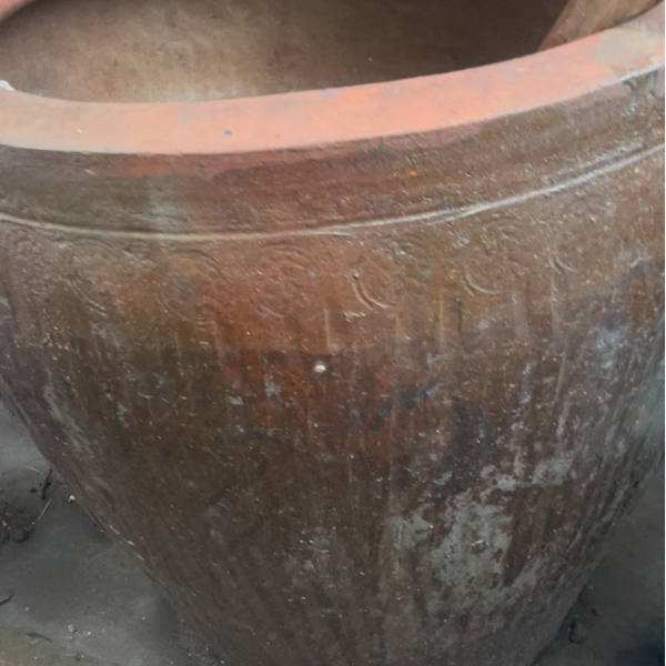 Terracotta Pot