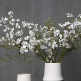 White flowers in a white vase against a gray background